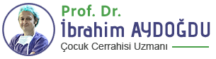 Prof. Dr. İbrahim AYDOĞDU